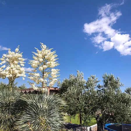 True Oasis With Heated Pool