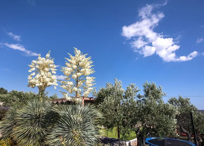 True Oasis With Heated Pool